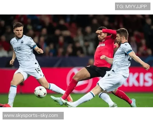 欧冠激战拜仁与热刺握手言和关键时刻引发全场热议